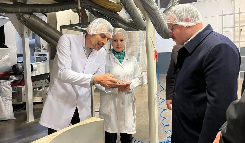 Gıda üretim tesislerine inceleme