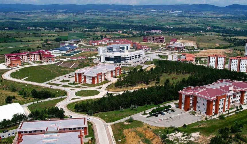 Kastamonu Üniversitesi'nde septik artrit için yönelik yerli tanı paneli geliştirilecek