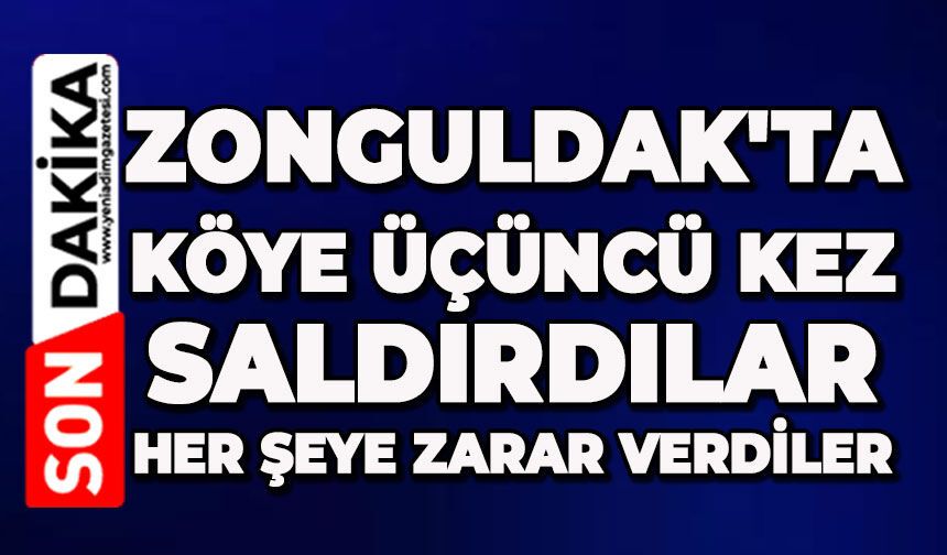 Zonguldak'ta köye üçüncü kez saldırdılar: Her şeye zarar verdiler