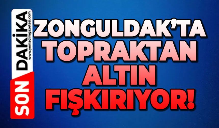 Zonguldak'ta topraktan altın fışkırıyor!