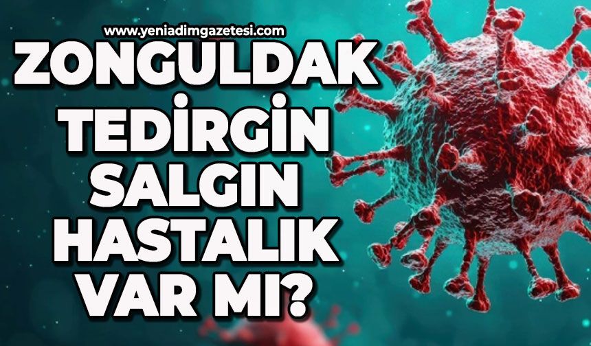 Zonguldak tedirgin: Salgın hastalık var mı?