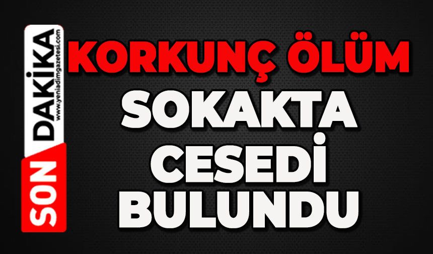 Korkunç ölüm: Sokakta ölü bulundu