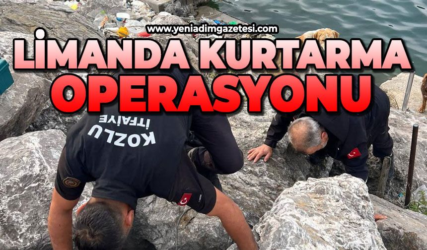 Limanda kurtarma operasyonu