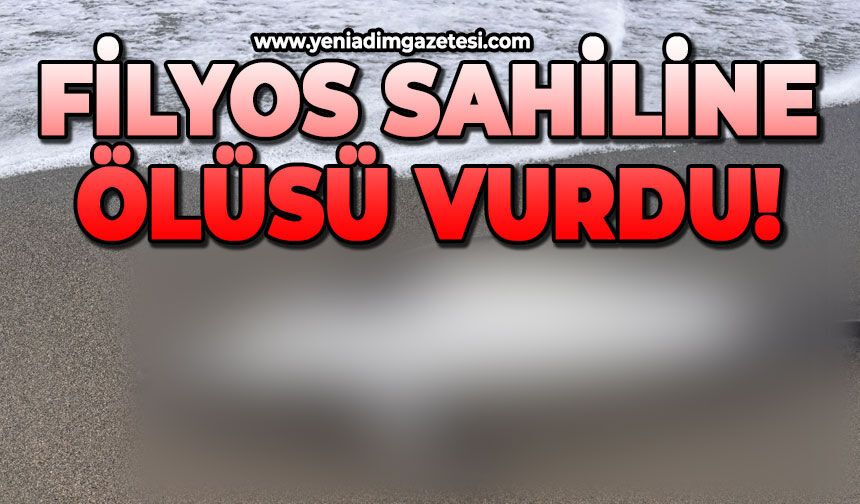 Filyos sahiline ölüsü vurdu!