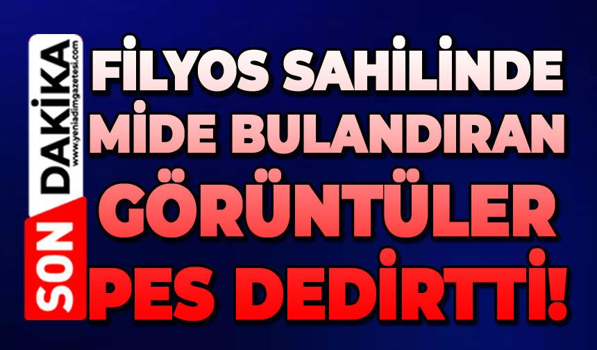 Filyos sahilinde şok görüntüler: Bu kadarı da 'pes' dedirtti!