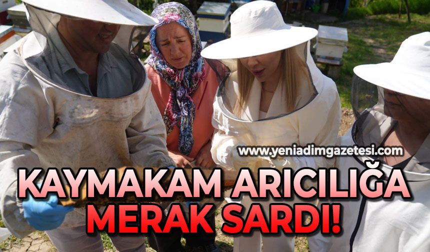 Kaymakam arıcılığa merak sardı!