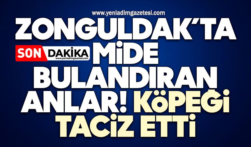 Zonguldak’ta mide bulandıran anlar! Köpeği taciz etti