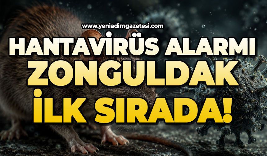Hantavirüs allarmı: Zonguldak ilk sırada!