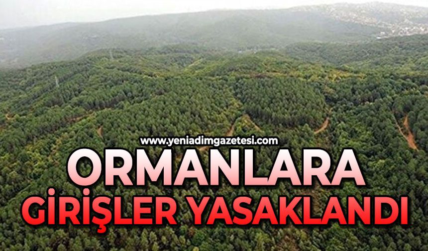 Ormanlara giriş yasağı getirildi