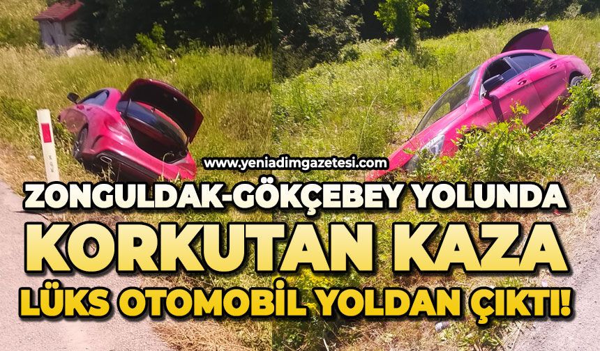 Zonguldak-Gökçebey yolunda korkutan kaza: Lüks otomobil yoldan çıktı!