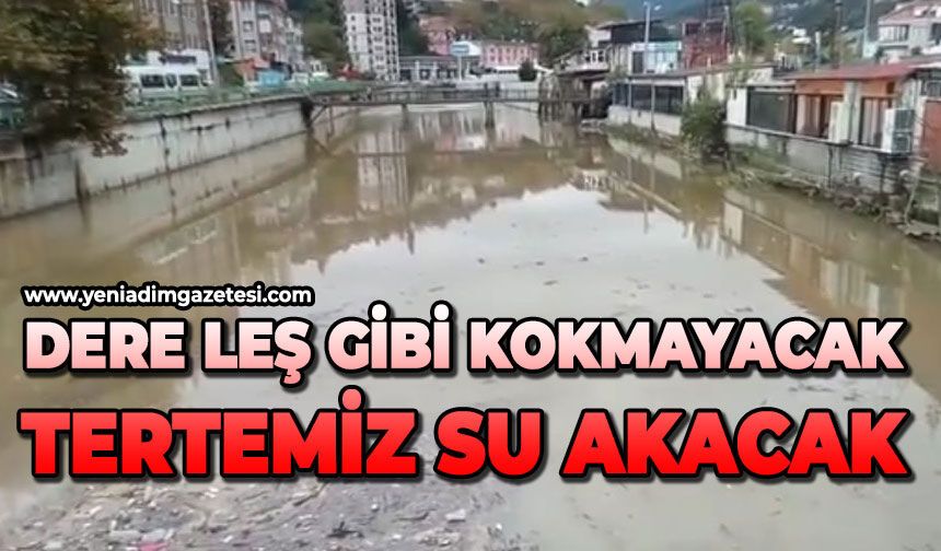 Dere leş gibi kokmayacak: Termemiz su akacak