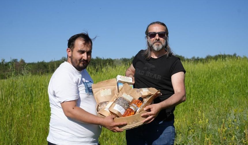 Siyezin, anavatanı Kastamonu'da ekim sahası genişliyor