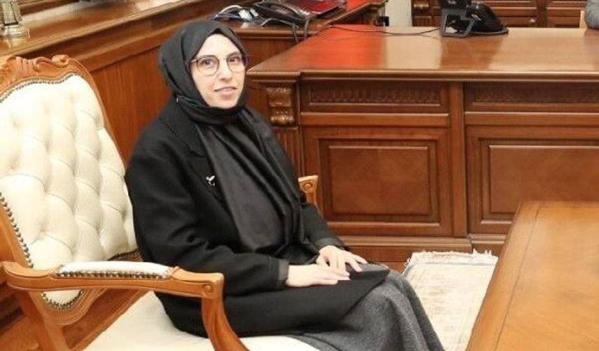 Vali yardımcıları ve kaymakamlar kararnamesi yayınlandı