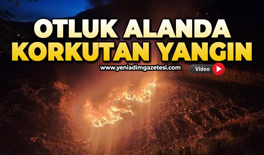 Otluk alan alev alev yandı