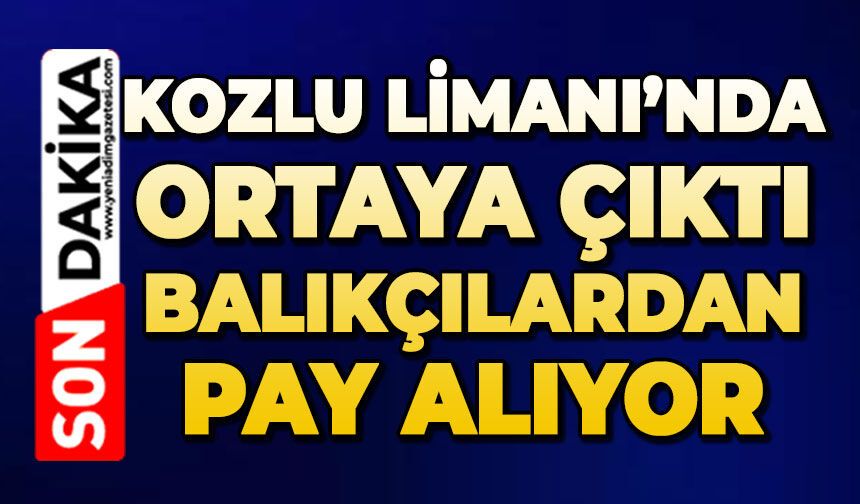 Kozlu limanında ortaya çıktı: Balıkçılardan pay alıyor