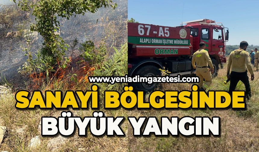Sanayi bölgesinde büyük yangın