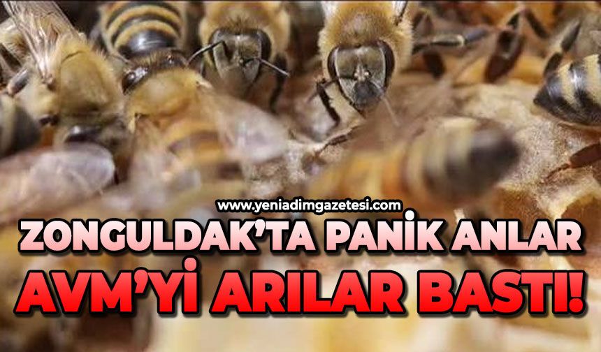 Zonguldak’ta panik anlar:  AVM’yi arı bastı!