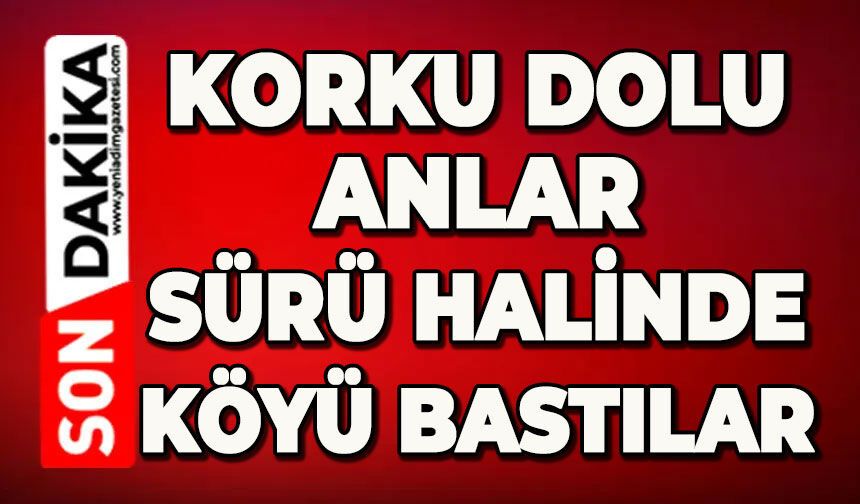 Korku dolu anlar: Sürü halinde köyü bastılar