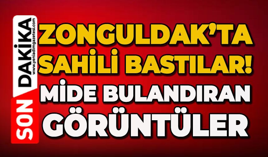 Zonguldak sahilini bastılar: Mide bulandıran görüntüler