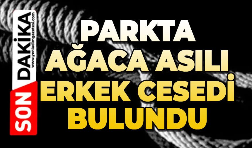 Parkta ağaca asılı erkek cesedi bulundu