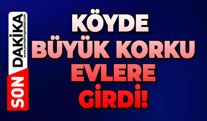 Köyde büyük korku: Evlere girdi!