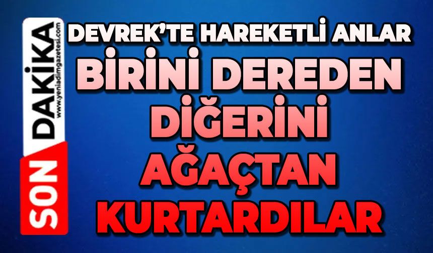 Devrek’te hareketli anlar: Birini dereden diğerini ağaçtan kurtardılar