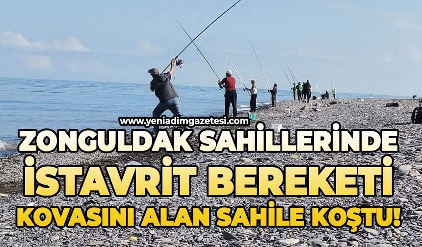 Zonguldak sahillerinde istavrit bereketi: Kovasını alan sahile koştu!