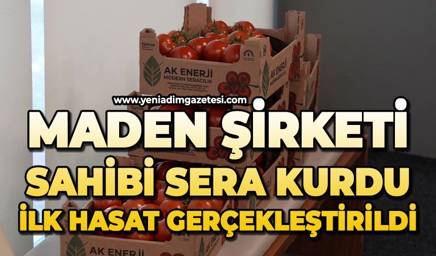 Maden şirketi sahibi sera kurdu: İlk hasat gerçekleştirildi