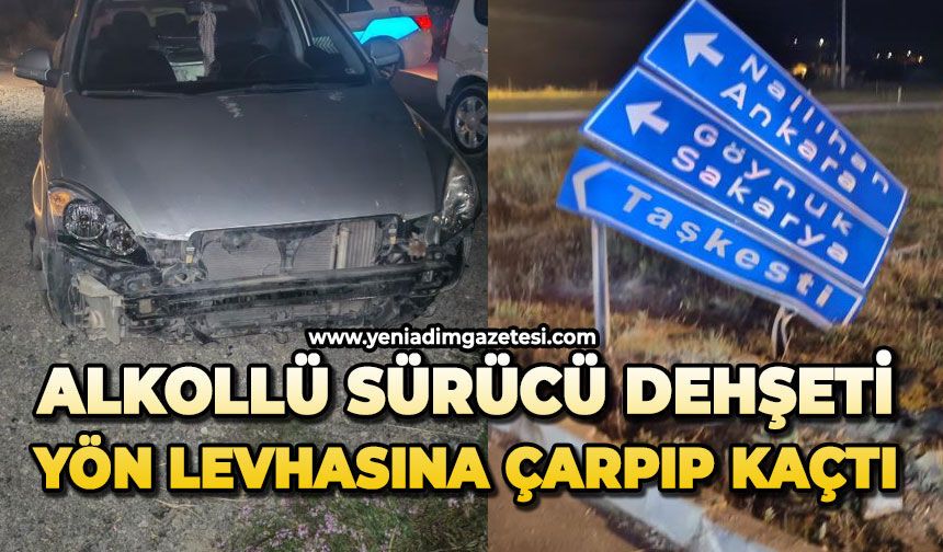 Alkollü sürücü dehşeti: Yön levhasına çarpıp kaçtı