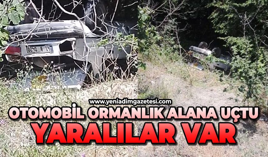 Otomobil ormanlık alana uçtu: Yaralılar var