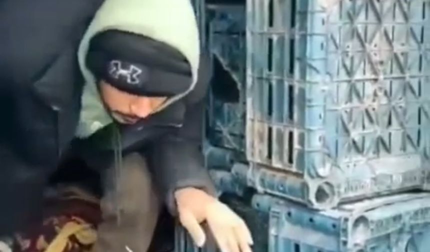 1 düzensiz göçmen yakalandı