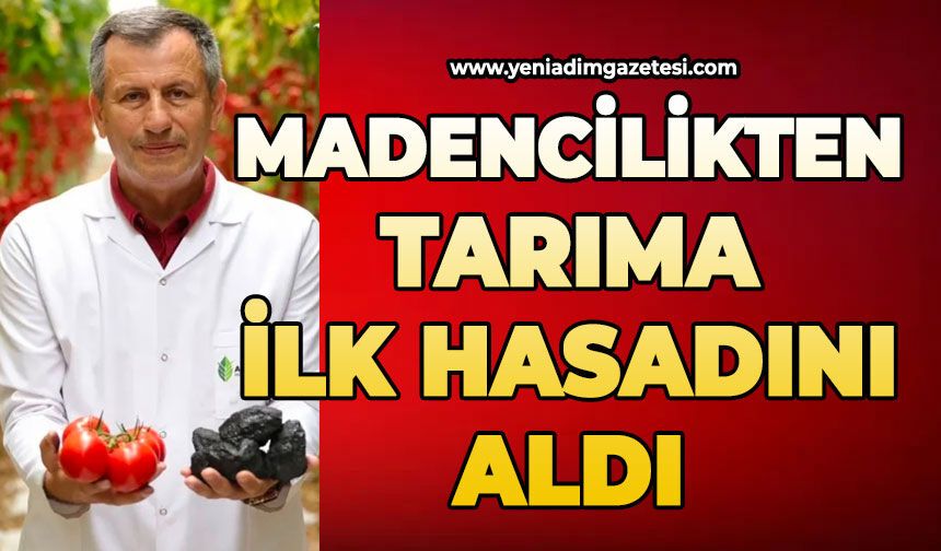 Madencilikten tarıma: İlk hasadını aldı