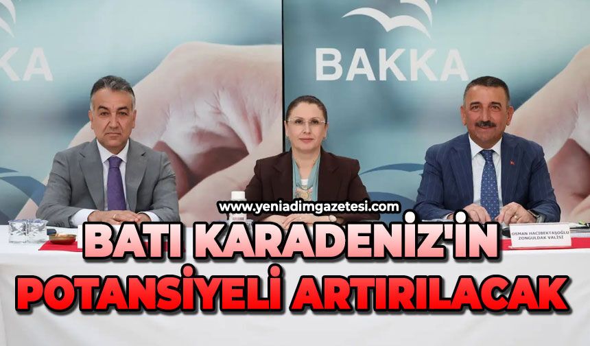 Batı Karadeniz'in potansiyeli artırılacak