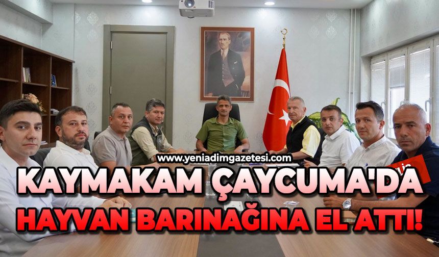 Kaymakam Çaycuma'da, hayvan barınağına el attı!