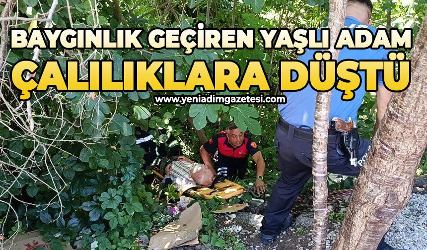 Baygınlık geçiren yaşlı adam çalılıklara düştü