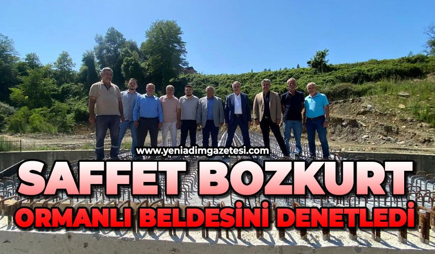 Saffet Bozkurt, Ormanlı beldesini denetledi