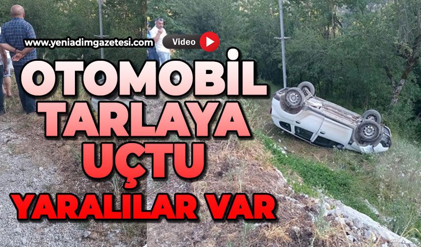 Otomobil tarlaya uçtu: Yaralılar var
