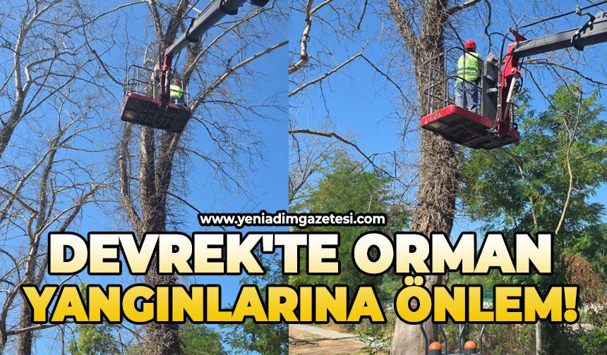 Devrek'te orman yangınlarına önlem!