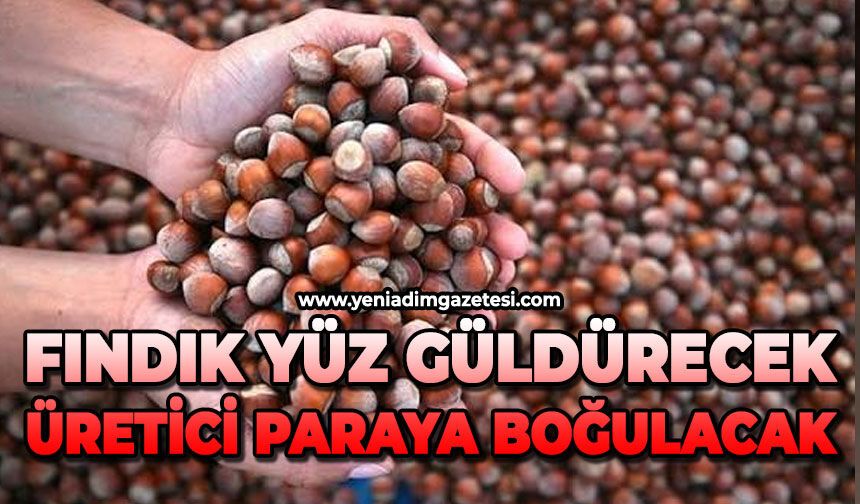 Fındık yüz güldürecek: Üretici paraya boğulacak
