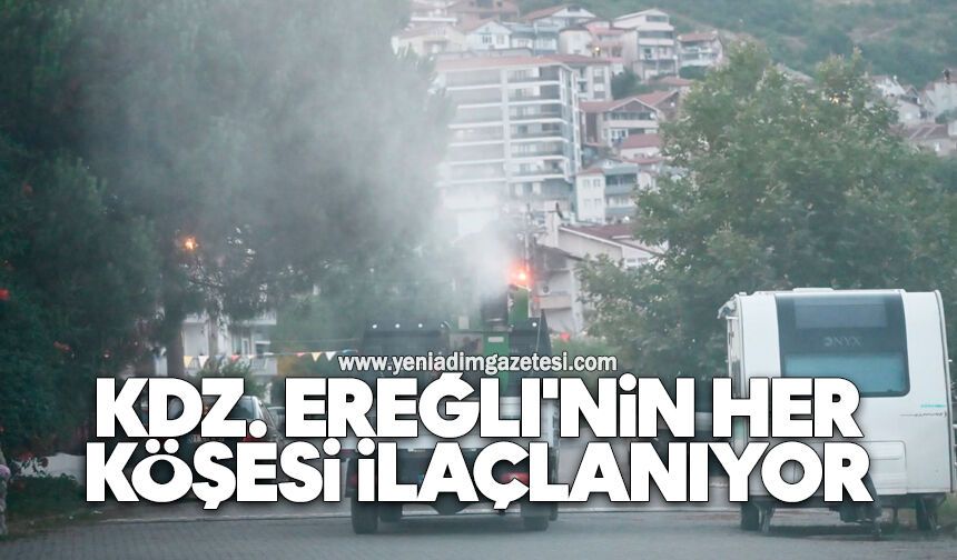 Kdz. Ereğli'nin her köşesi ilaçlanıyor