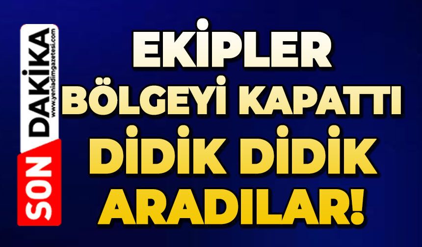 Ekipler bölgeyi kapattı: Didik didik aradılar