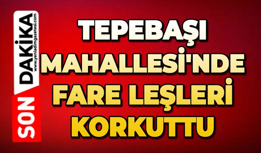 Tepebaşı Mahallesi'nde fare leşleri korkuttu