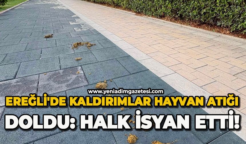 Ereğli'de kaldırımlar hayvan atığı doldu: Halk isyan etti!