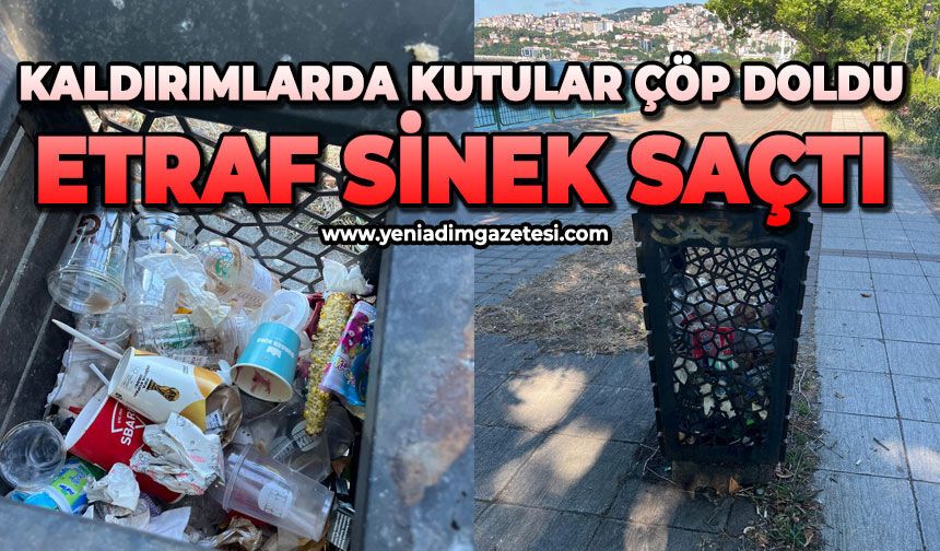 Kaldırımlarda kutular çöp doldu: Etraf sinek saçtı