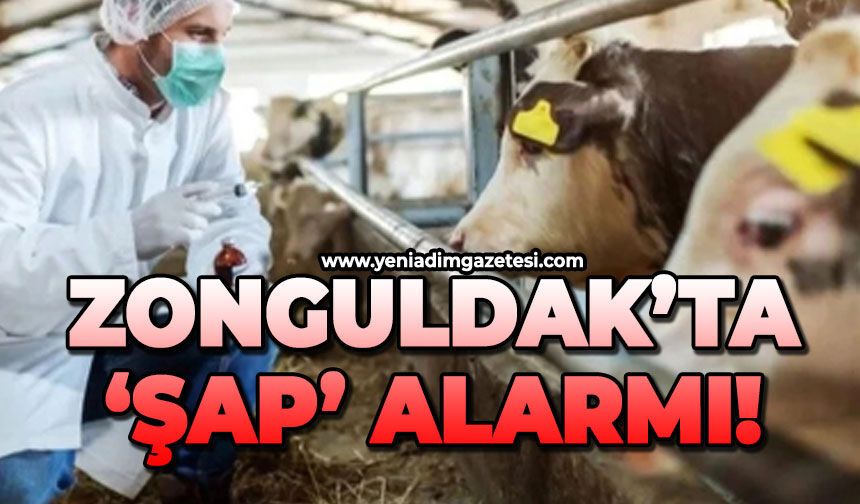 Zonguldak'ta şap alarmı!
