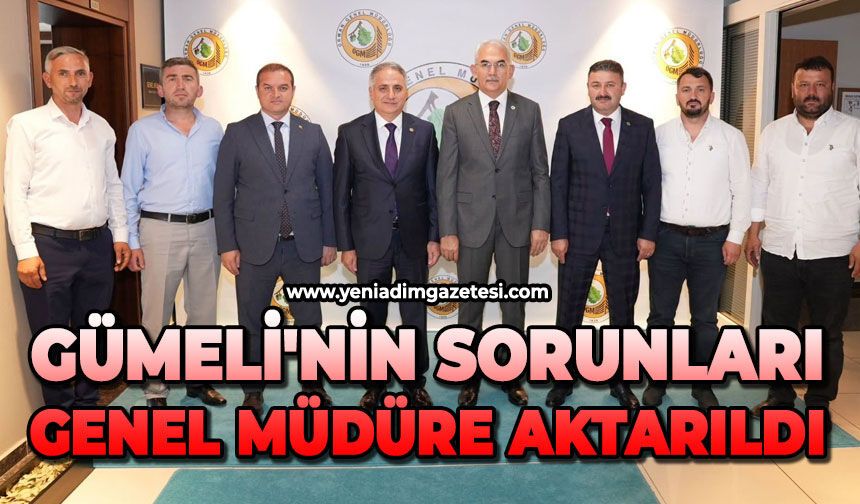 Gümeli'nin sorunları Genel Müdüre aktarıldı
