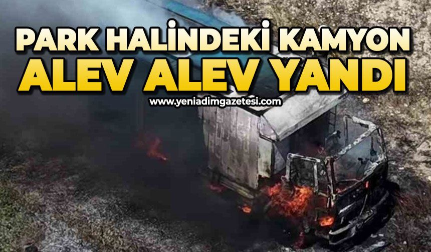 Park halindeki kamyonun alev alev yandı
