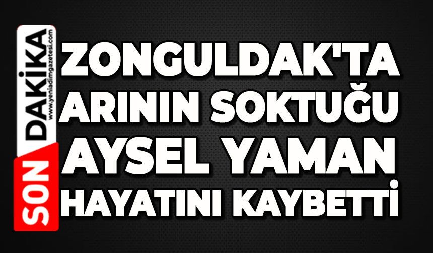 Zonguldak'ta arının soktuğu Aysel Yaman hayatını kaybetti