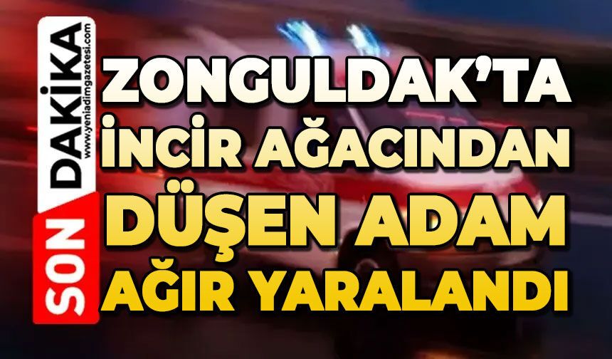 Zonguldak'ta incir ağacından düşen adam ağır yaralandı
