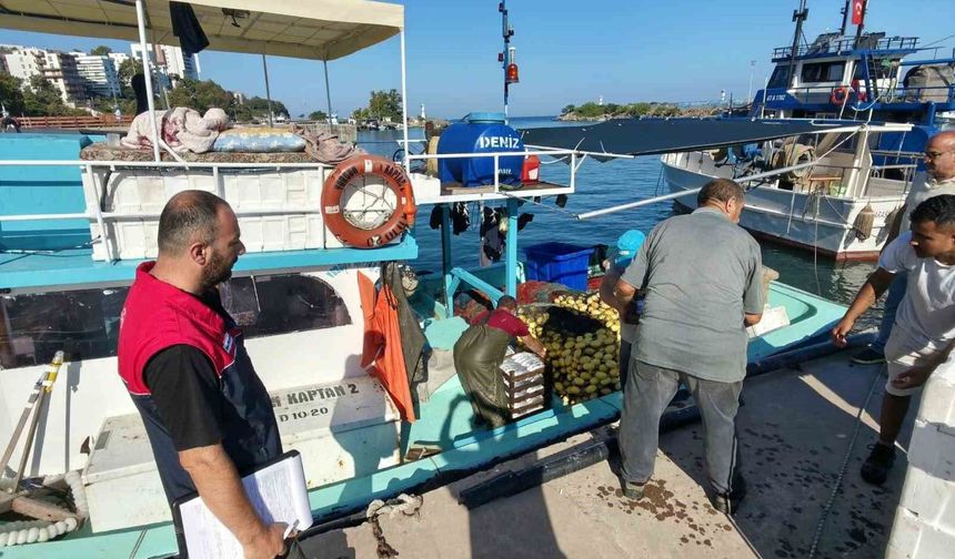 Balıkçılar sezona hızlı başladı